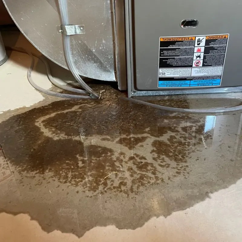 Pipe Burst and Leak Restoration in Brandenburg, KY