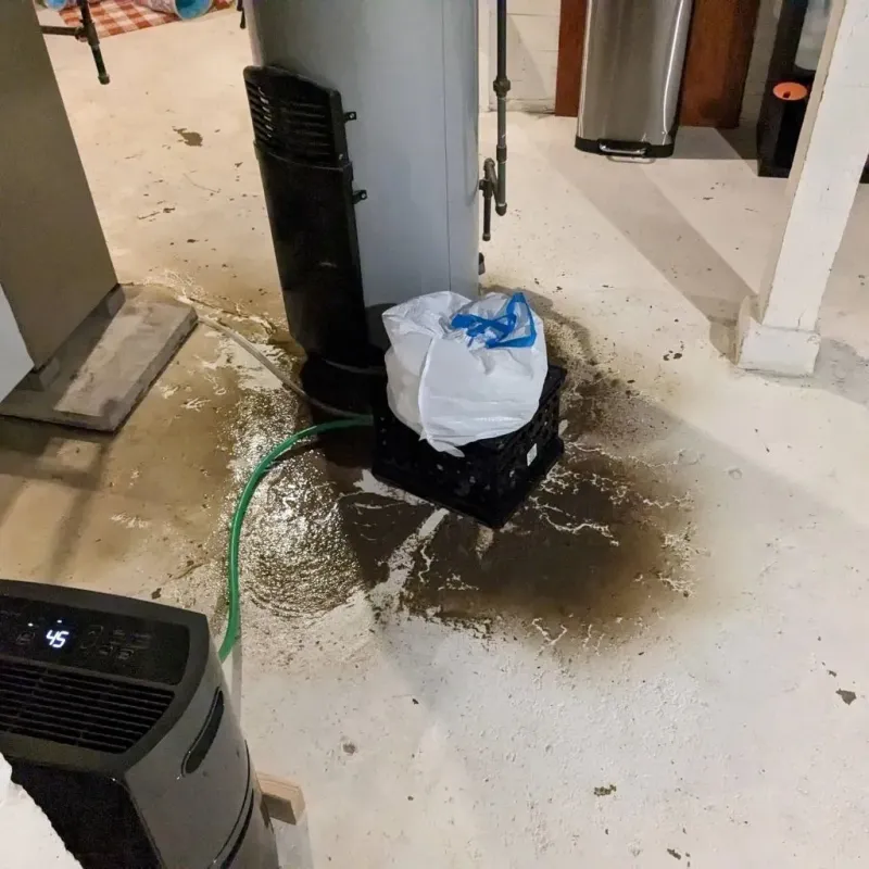 Sewage Backup Cleanup Service in Brandenburg, KY